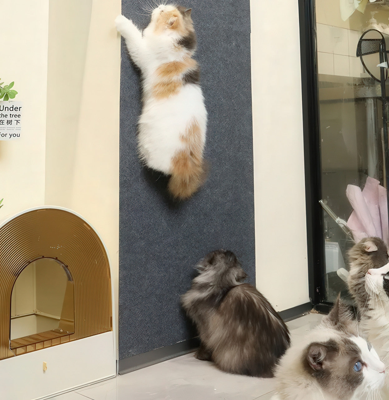 Кігтеточка килимок самоклейна для котів і собак - захист меблів від подряпин 40×100 см